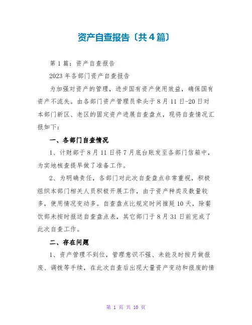 资产自查报告(共4篇)