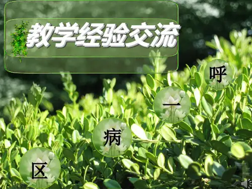 呼吸系统常见症状体征及护理ppt课件