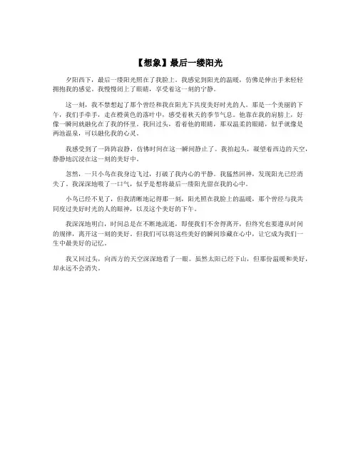 【想象】最后一缕阳光