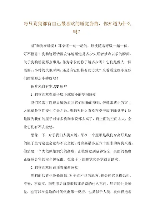 每只狗狗都有自己最喜欢的睡觉姿势,你知道为什么吗？