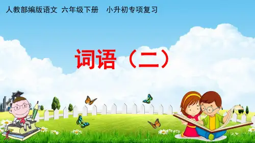 人教部编版六年级语文下册《小升初专项复习 词语(二)》教学课件PPT小学优秀课件