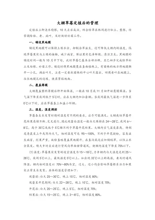 大棚草莓定植后的管理