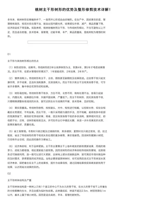 桃树主干形树形的优势及整形修剪技术详解！