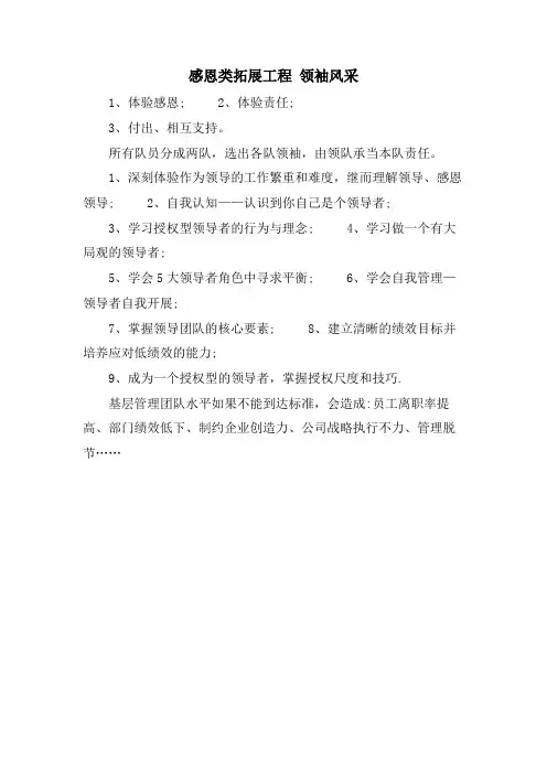感恩类拓展项目 领袖风采