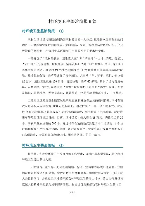 村环境卫生整治简报6篇