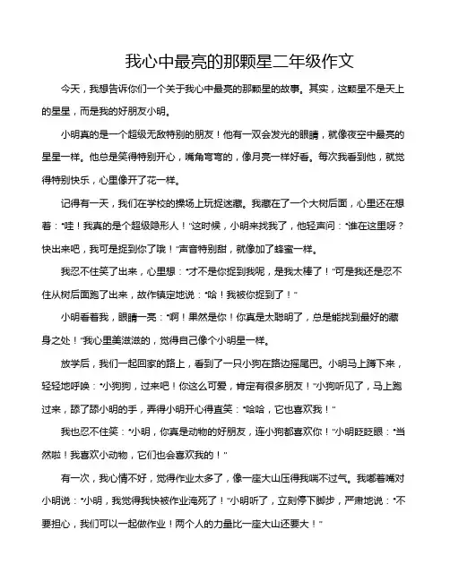 我心中最亮的那颗星二年级作文