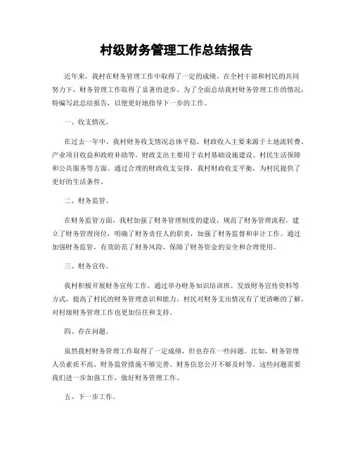 村级财务管理工作总结报告