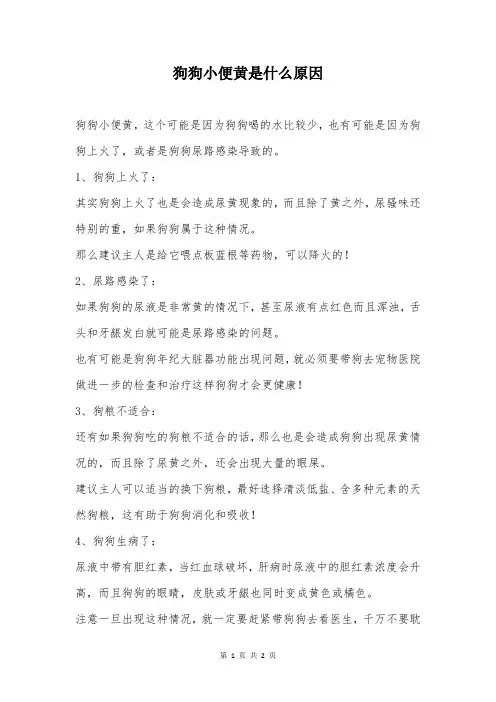 狗狗小便黄是什么原因