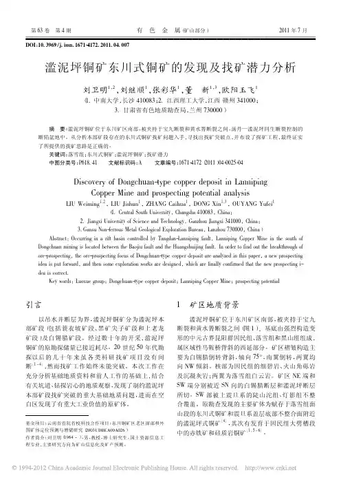 滥泥坪铜矿东川式铜矿的发现及找矿潜力分析_刘卫明