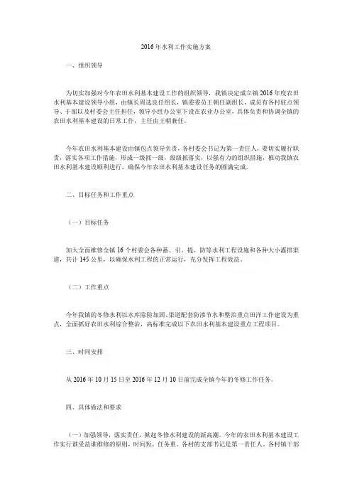 2016年水利工作实施方案.doc