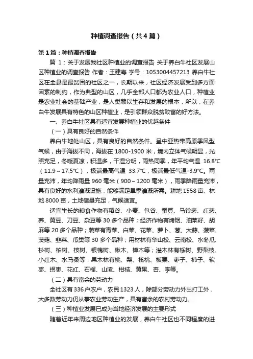 种植调查报告（共4篇）