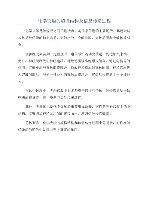 化学突触的超微结构及信息传递过程