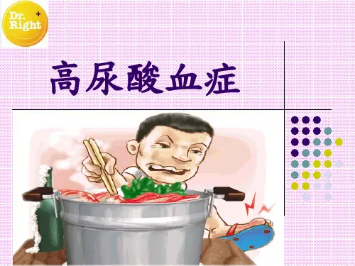 高尿酸血症ppt