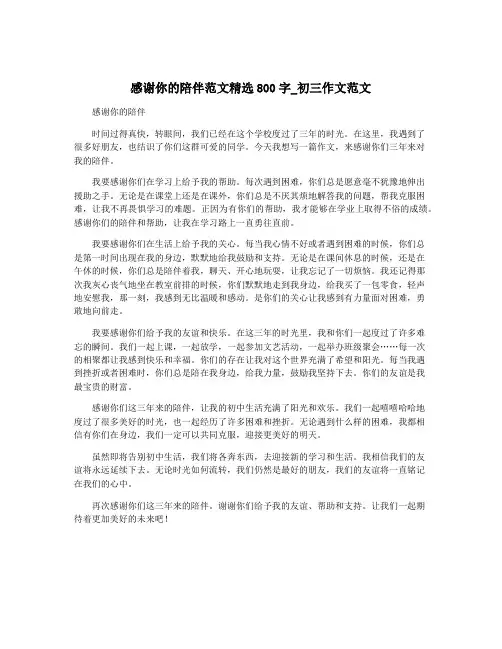 感谢你的陪伴范文精选800字_初三作文范文