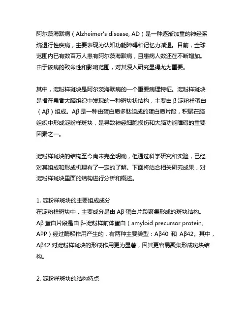阿尔茨海默病 淀粉样斑块里面的结构