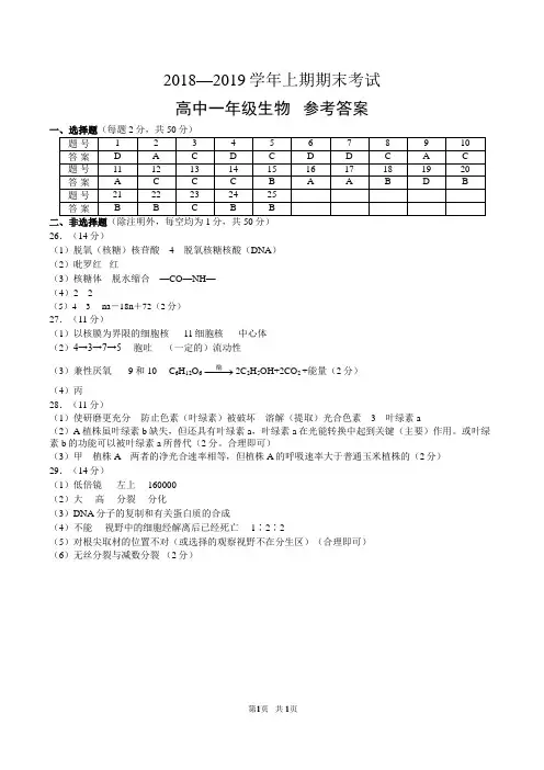 2018—2019学年上期期末考试