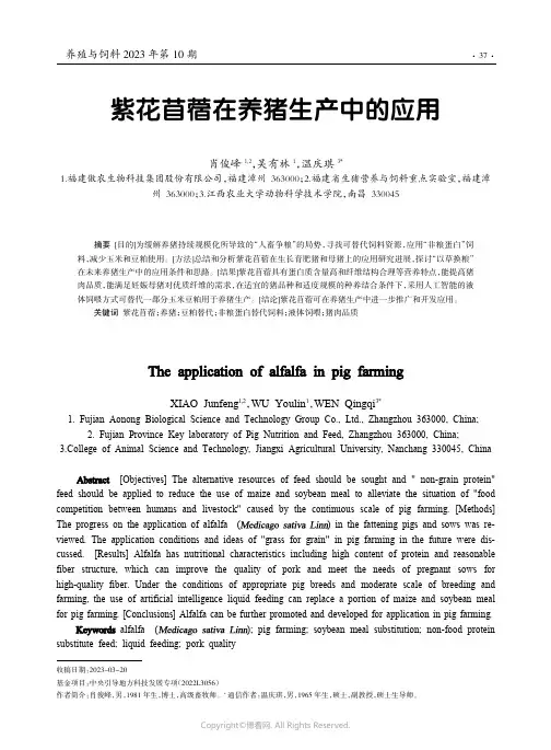 紫花苜蓿在养猪生产中的应用