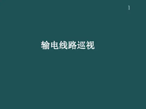 输电线路巡视