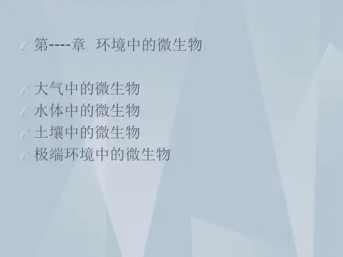 环境微生物PPT模板