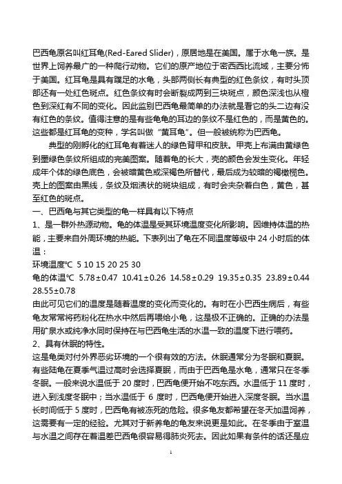 巴西龟原名叫红耳龟