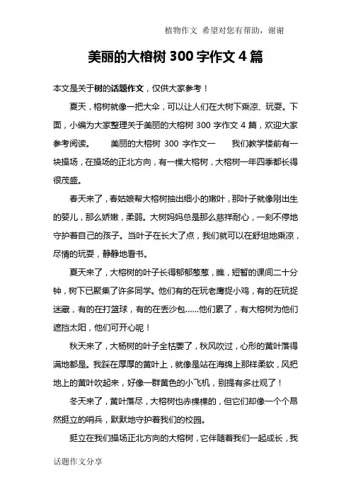 美丽的大榕树300字作文4篇