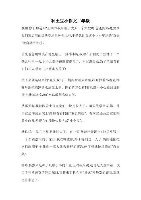 种土豆小作文二年级