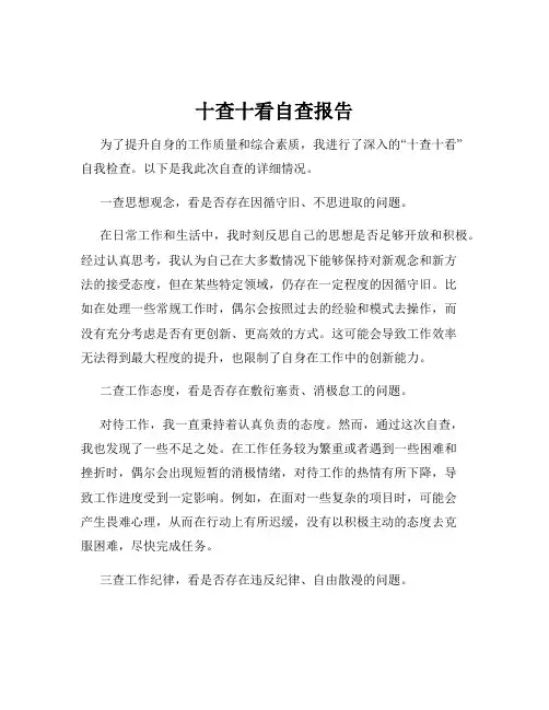 十查十看自查报告