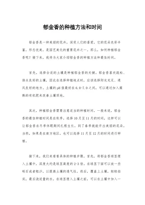 郁金香的种植方法和时间