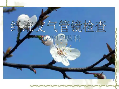 纤维支气管镜检查详解ppt课件
