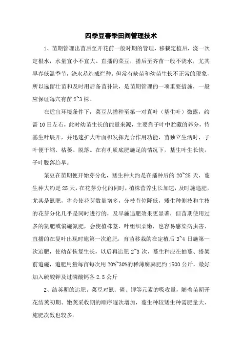四季豆春季田间管理技术