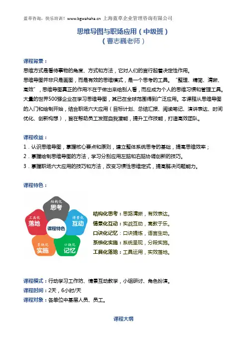 《 思维导图与职场应用(中级班)》 2天版
