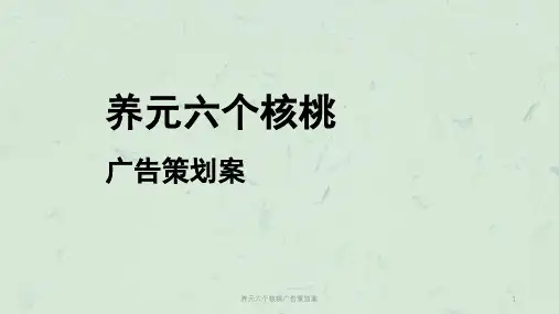 养元六个核桃广告策划案课件