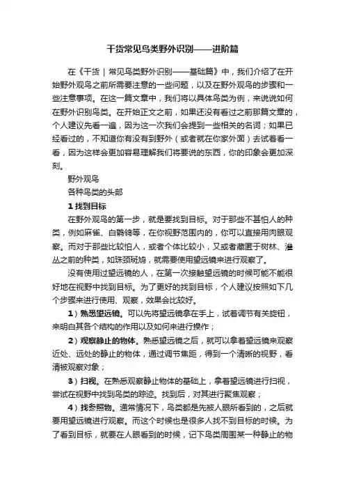 干货常见鸟类野外识别——进阶篇