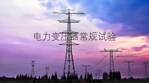 电力变压器常规试验