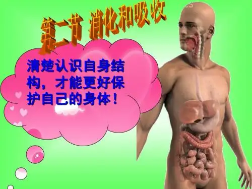 人教版七年级下册生物2.2消化和吸收 (共36张PPT)