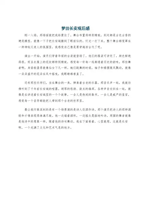 梦回长安观后感