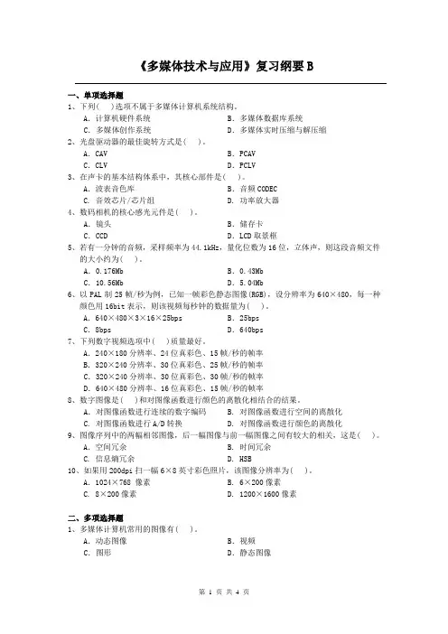 多媒体技术与应用课程复习考试试题及答案B