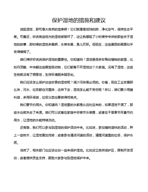 保护湿地的措施和建议