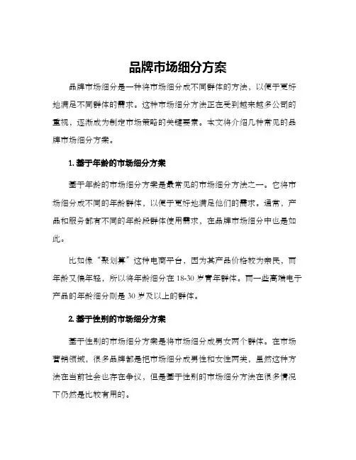 品牌市场细分方案