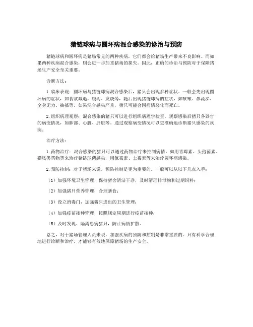 猪链球病与圆环病混合感染的诊治与预防