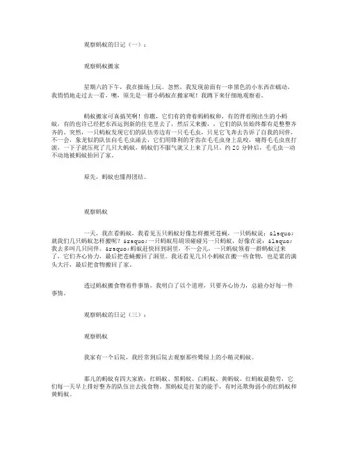 观察蚂蚁的日记15篇
