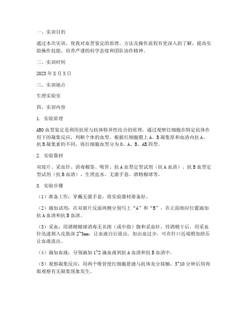血型鉴定实训报告