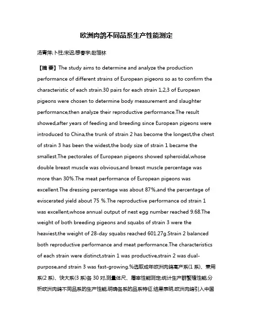 欧洲肉鸽不同品系生产性能测定