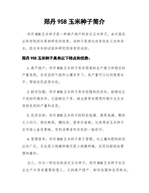 郑丹958玉米种子简介