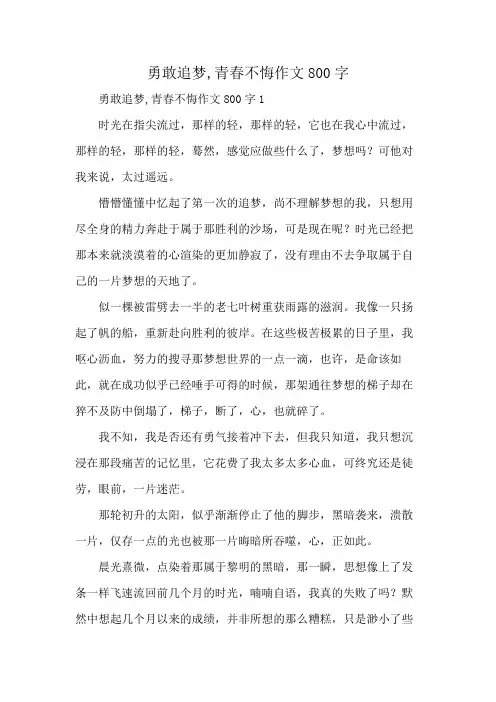 勇敢追梦,青春不悔作文800字