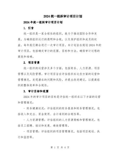 2024统一组织审计项目计划