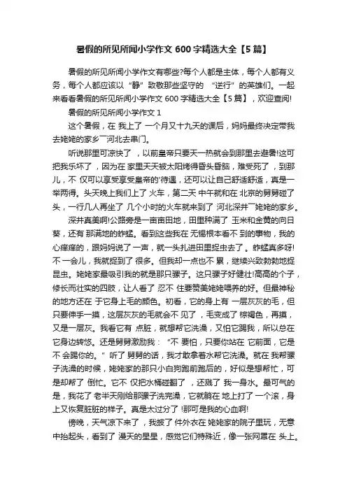 暑假的所见所闻小学作文600字精选大全【5篇】