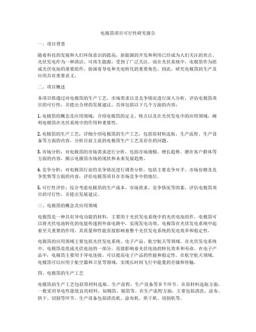 电极箔项目可行性研究报告