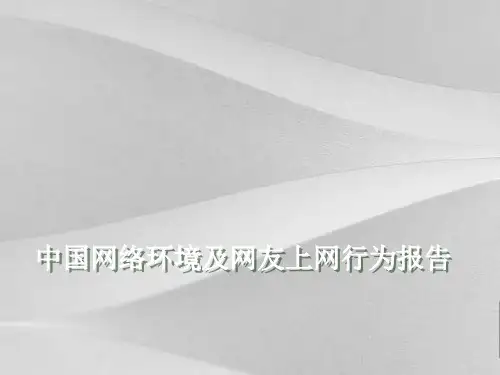 中国网络环境及网友上网行为分析报告
