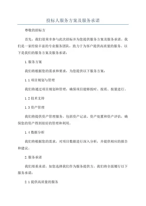 投标人服务方案及服务承诺